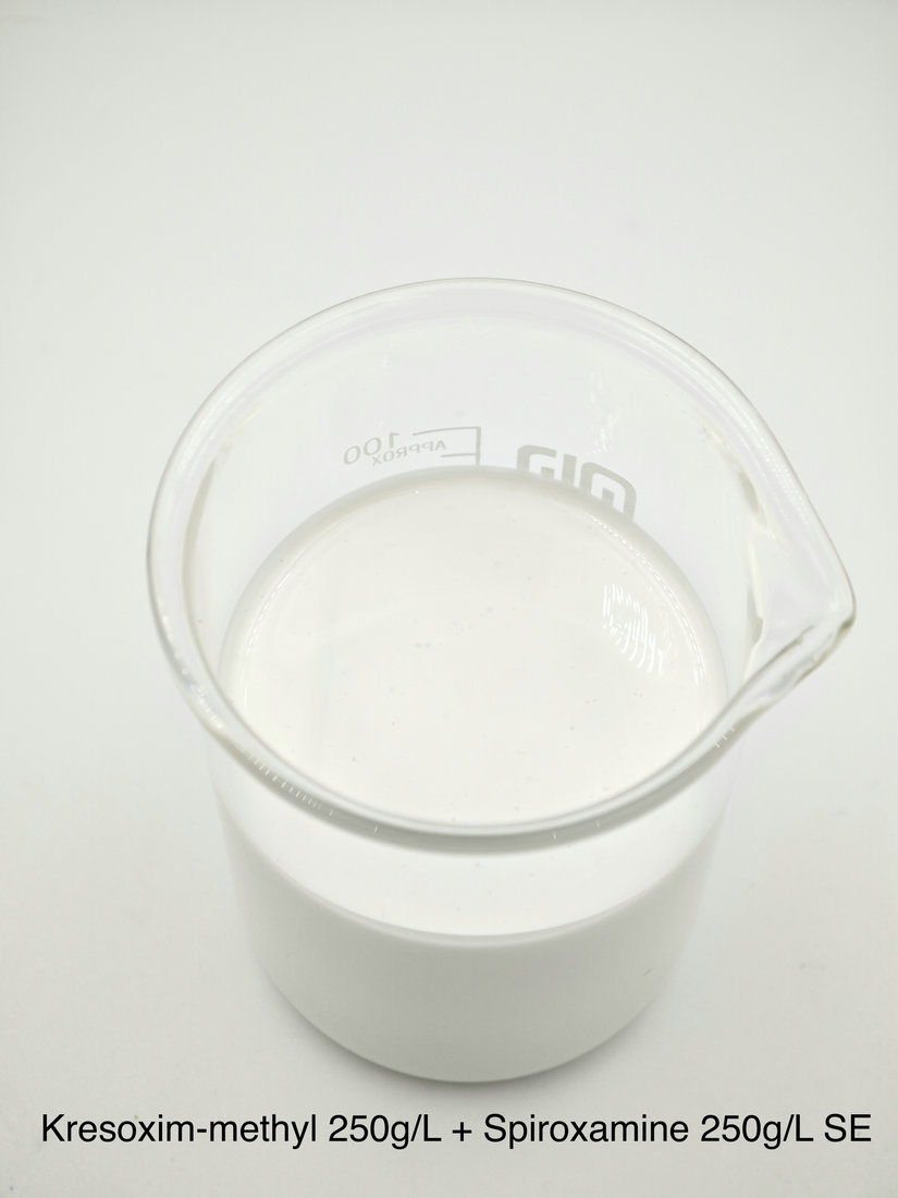 Kresoxim-methyl 250g/L + Spiroxamine 250g/L SE